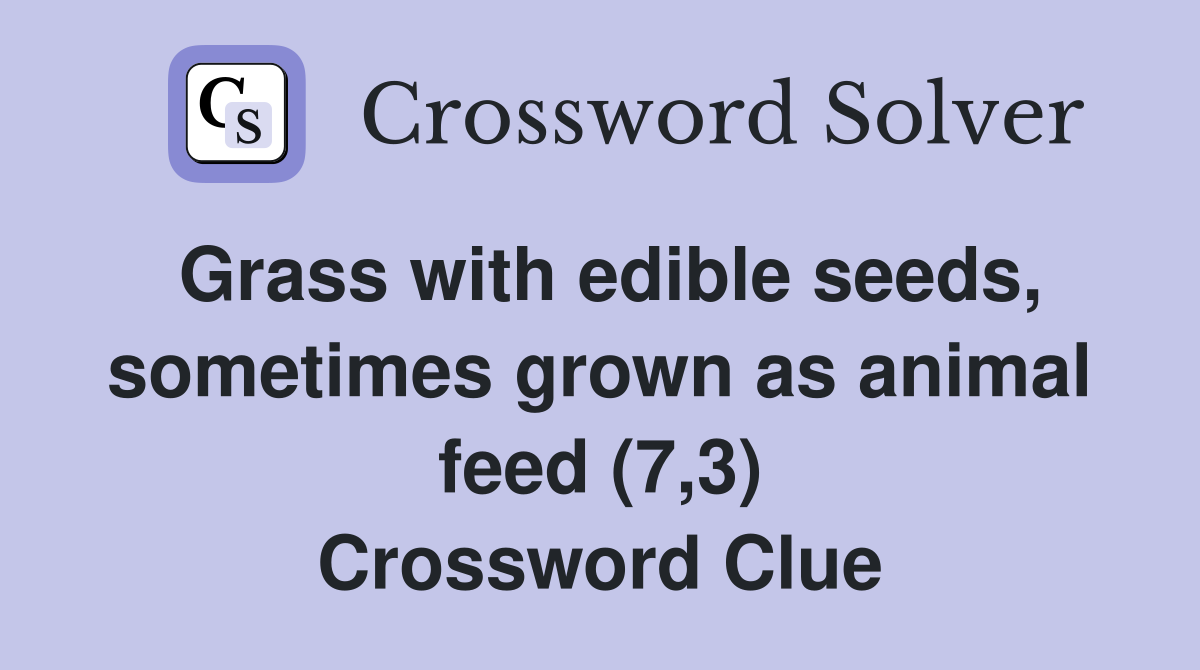 Grass with edible seeds, sometimes grown as animal feed (7,3) Crossword Clue Answers